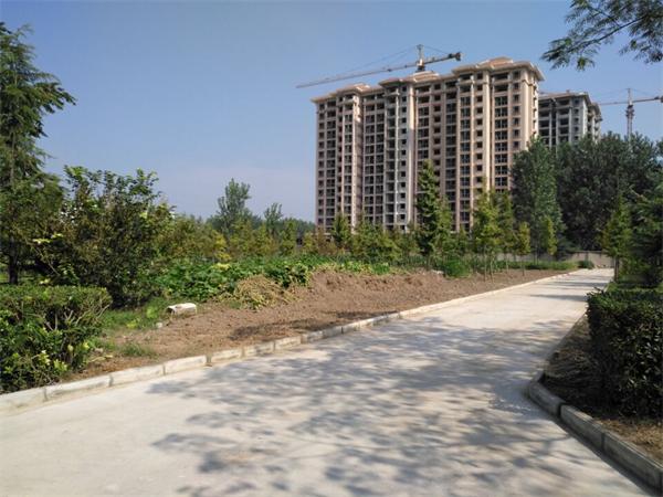 整齐划一的道路.jpg