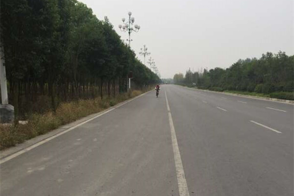 36.jpg