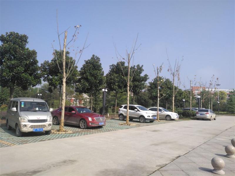 111.jpg
