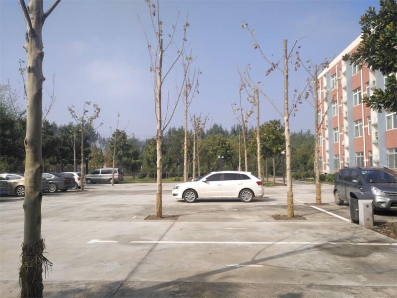 555.jpg