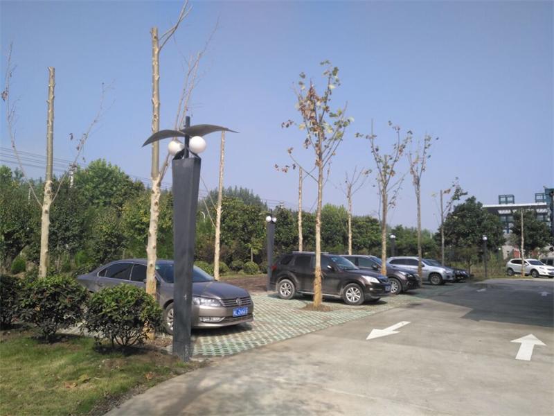 222.jpg