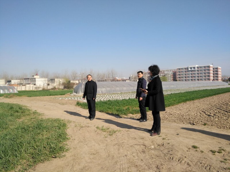 扩增土地现场.jpg
