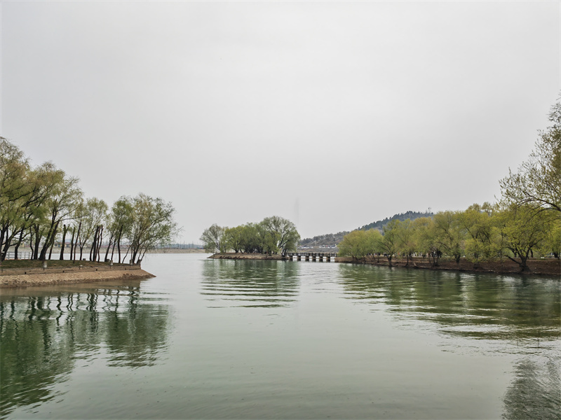 #10号-杨洁《湖光山色》.jpg