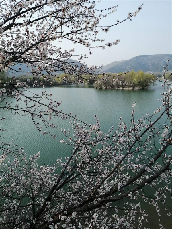 #4号-黄彬《五柳仙境》.jpg
