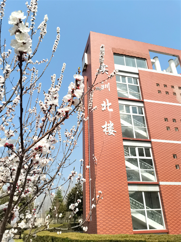 #7号-贺东-《卫院芳华》.jpg