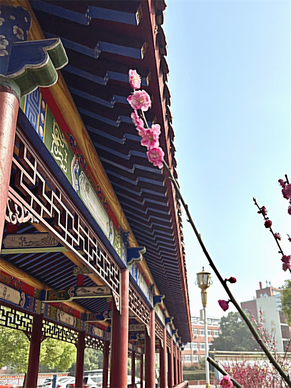 #11号 - 刘亚《一支春》.png