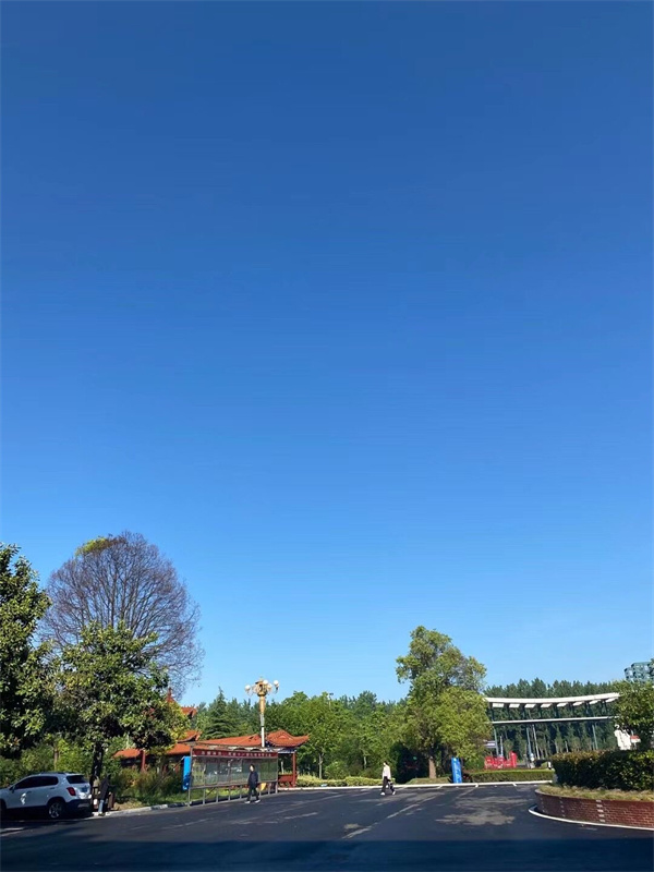 #5号-孙薇薇《卫院蓝》.jpg