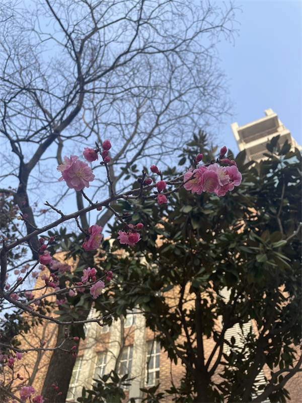#8号-黄梦丽-《春有约，花不负》.JPG